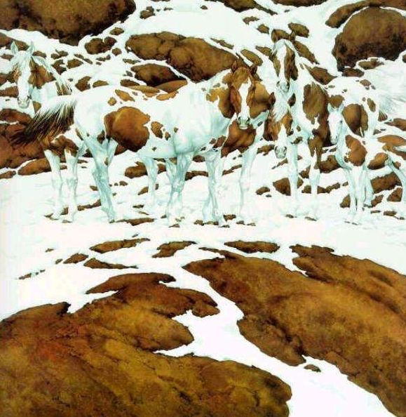 Cavalli Mimetizzati