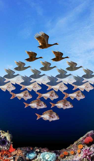 Effetto Ottico Dal Mare Al Cielo