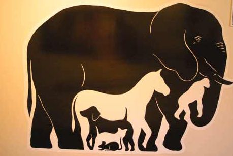 Illusione Contorni Degli Animali