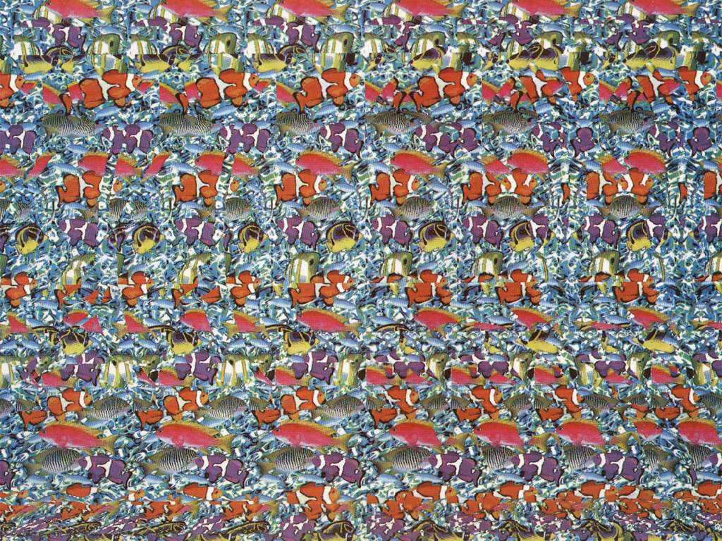 Stereo Delfini